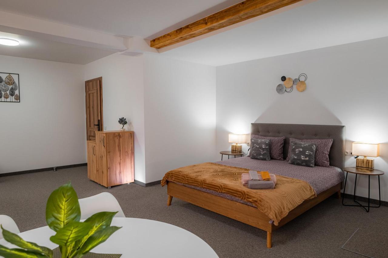 公寓 The Dom 21 Cluj-Napoca