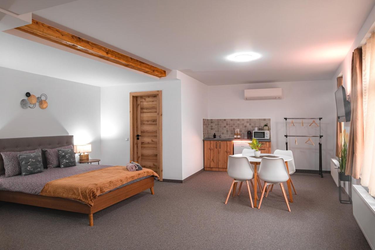 The Dom 21 公寓 Cluj-Napoca